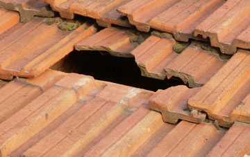 roof repair Slyfield, Surrey